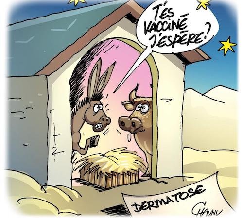 vaccin de la dermatose.jpg