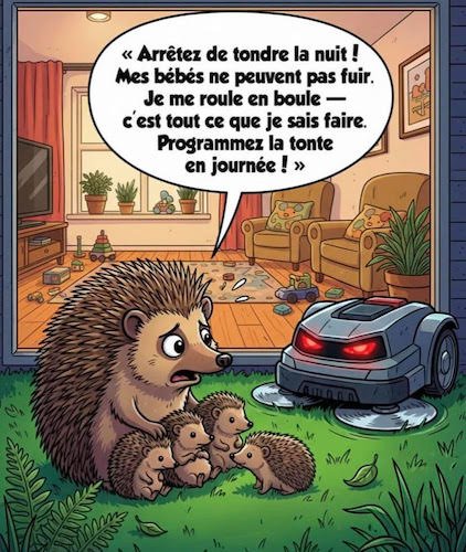 les hérissons.jpg